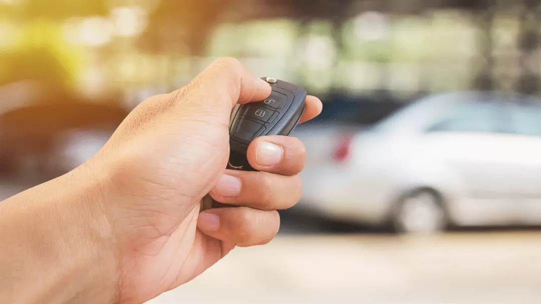 how long do car alarms go off for