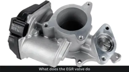 what does the egr valve do